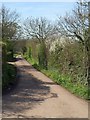 Lane to Clyst Hydon