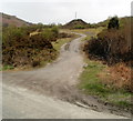 Track from Farm Road near Talywain