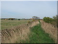 Footpath towards Lydden House