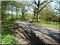 Sharp bend on Wooddale Lane