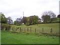 Telecommunication mast  looms over Brierley