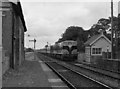 N6210 : Train at Monasterevin old station by The Carlisle Kid