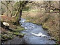 The River Valency Below the Ford