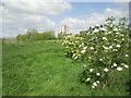 Northfleet Urban Country Park