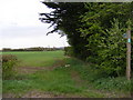 TM3264 : Footpath to the B1119 Saxmundham Road by Geographer