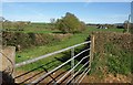 Countryside near Sherwood Farm