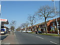 Winter trees in Copnor Road