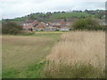 Edge of the reeds, Malpas to Caerleon cycleway