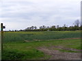 Footpath to Fiddlers Hall & Cransford