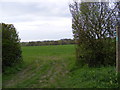 TM3162 : Footpath to the B1119 Saxmundham Road by Geographer