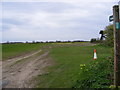 TM2963 : Footpath to the B1120 Badingham Road by Geographer