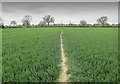 Footpath South of Hagg Wood