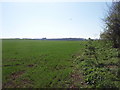 TF0903 : Farmland near Ufford by Ajay Tegala