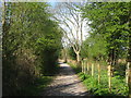 Regional Cycle Route 15  heads through Pegwell Bay Nature Reserve