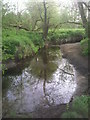 River Ravensbourne in Beckenham Place Park