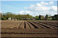 Ploughed field, Goostrey