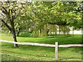 Trees at Manor Farm in Heyshott