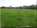 Footpath in Marjorie Chapman Meadow