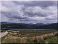 Marshland on Loch Kishorn