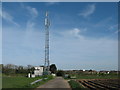 TR3664 : Mobile Phone mast of Chalk Hill by David Anstiss