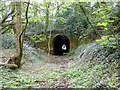 The north-west portal of Newbold tunnel