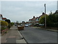 Skip in Broomfield Avenue