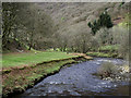 Afon Tywi north of Rhandirmwyn, Carmarthenshire