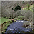 Afon Tywi north of Rhandirmwyn, Carmarthenshire