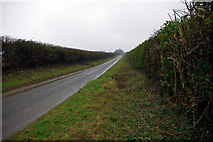 TF6931 : Mill Road, Dersingham by Phil Champion