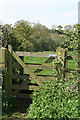 Cullompton: field gate