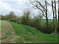 Footpath And Field Boundary