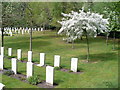 At Peace in the Aldershot Military Cemetery