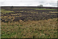 Southern fringe of the North Yorks Moors