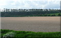 Farmland at Borough Farm