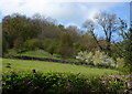 Hillside scene, Stanton Lees