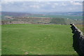 Field on Bewerley Moor