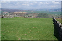 SE1264 : Field on Bewerley Moor by Bill Boaden