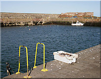 NT6779 : Victoria Harbour, Dunbar by Walter Baxter