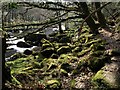 Boulders by the Dart