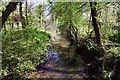 Mill Brook in South Moreton