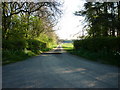 The way to Pasture Farm, North Yorkshire