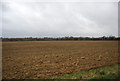 Ploughed field near Victoria House