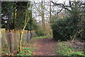 Footpath to Barnet Gate Wood