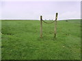 Pasture North of Crake Moor