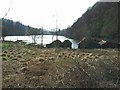 Boat sheds near Milton