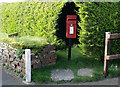 Postbox in a hedge