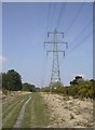 Hurn Forest, power lines