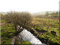 Afon Clywedog from Pont y Bylan