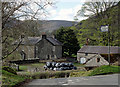 Broncwrt near Rhandirmwyn Bridge, Carmarthenshire