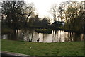 Pond, Mote End Farm